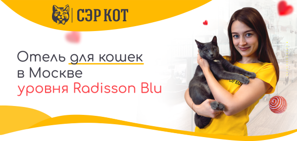 Гостиница для кошек